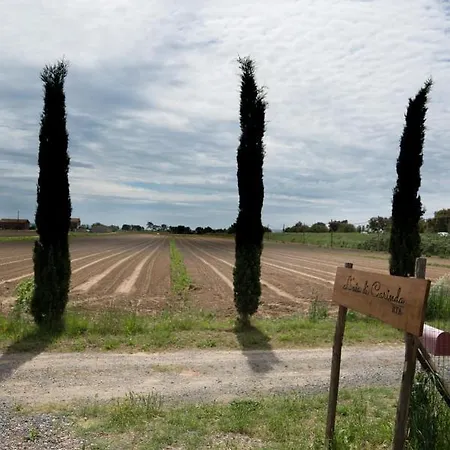 L' Aia Di Carinda R.t.a. Grosseto